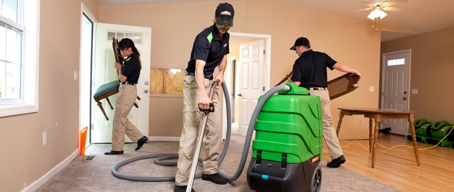 Sarasota, FL cleaning services
